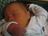 Filename=IMG_2196.JPG
Filesize=1234KB
Dimensions=2592x1944
Date added=Dec 30, 2006 IMG_2196.JPG