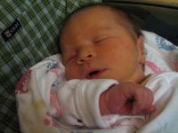 Filename=IMG_2201.JPG
Filesize=1287KB
Dimensions=2592x1944
Date added=Dec 30, 2006 IMG_2201.JPG