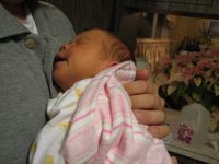 Filename=IMG_2408.JPG
Filesize=1242KB
Dimensions=2592x1944
Date added=Jan 07, 2007 IMG_2408.JPG