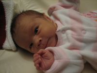 Filename=IMG_2580.JPG
Filesize=1433KB
Dimensions=2592x1944
Date added=Feb 04, 2007 IMG_2580.JPG