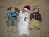 Filename=IMG_2627.JPG
Filesize=1304KB
Dimensions=2592x1944
Date added=Jan 09, 2007 IMG_2627.JPG