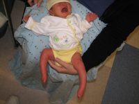 Filename=IMG_2660.JPG
Filesize=1053KB
Dimensions=2592x1944
Date added=Feb 04, 2007 IMG_2660.JPG