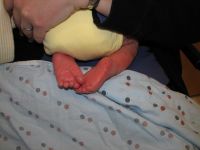 Filename=IMG_2662.JPG
Filesize=1375KB
Dimensions=2592x1944
Date added=Feb 04, 2007 IMG_2662.JPG