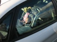 Filename=IMG_2666.JPG
Filesize=1068KB
Dimensions=2592x1944
Date added=Feb 04, 2007 IMG_2666.JPG