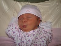 Filename=IMG_2694.JPG
Filesize=1182KB
Dimensions=2592x1944
Date added=Feb 04, 2007 IMG_2694.JPG