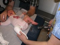 Filename=IMG_2711.JPG
Filesize=1252KB
Dimensions=2592x1944
Date added=Feb 04, 2007 IMG_2711.JPG