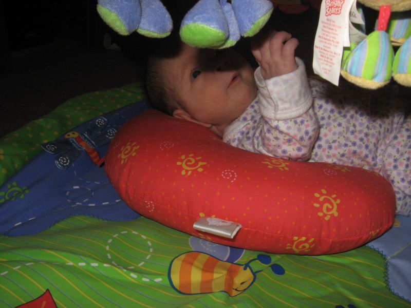 Click to view full size image