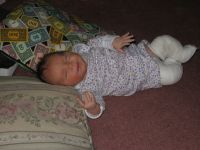 Filename=IMG_0223.jpg
Filesize=1861KB
Dimensions=2816x2112
Date added=Feb 09, 2007 IMG_0223.jpg