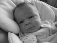 Filename=IMG_0260.jpg
Filesize=894KB
Dimensions=2816x2112
Date added=Feb 09, 2007 IMG_0260.jpg