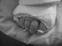 Filename=IMG_0287.jpg
Filesize=941KB
Dimensions=2816x2112
Date added=Feb 09, 2007 IMG_0287.jpg