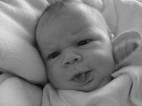 Filename=IMG_0307.jpg
Filesize=856KB
Dimensions=2816x2112
Date added=Feb 09, 2007 IMG_0307.jpg