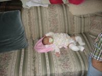 Filename=IMG_0341.jpg
Filesize=1711KB
Dimensions=2816x2112
Date added=Feb 09, 2007 IMG_0341.jpg