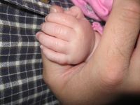 Filename=IMG_0499.JPG
Filesize=1401KB
Dimensions=2816x2112
Date added=May 12, 2007 IMG_0499.JPG