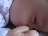 Filename=IMG_0669.JPG
Filesize=966KB
Dimensions=2816x2112
Date added=Jun 14, 2007 IMG_0669.JPG