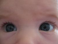 Filename=IMG_0884.JPG
Filesize=968KB
Dimensions=2816x2112
Date added=Jun 14, 2007 IMG_0884.JPG