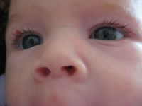 Filename=IMG_0889.JPG
Filesize=977KB
Dimensions=2816x2112
Date added=Jun 14, 2007 IMG_0889.JPG