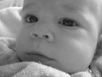 Filename=IMG_0966.JPG
Filesize=848KB
Dimensions=2816x2112
Date added=Jun 14, 2007 IMG_0966.JPG