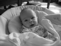 Filename=IMG_1098.JPG
Filesize=933KB
Dimensions=2816x2112
Date added=Jun 14, 2007 IMG_1098.JPG