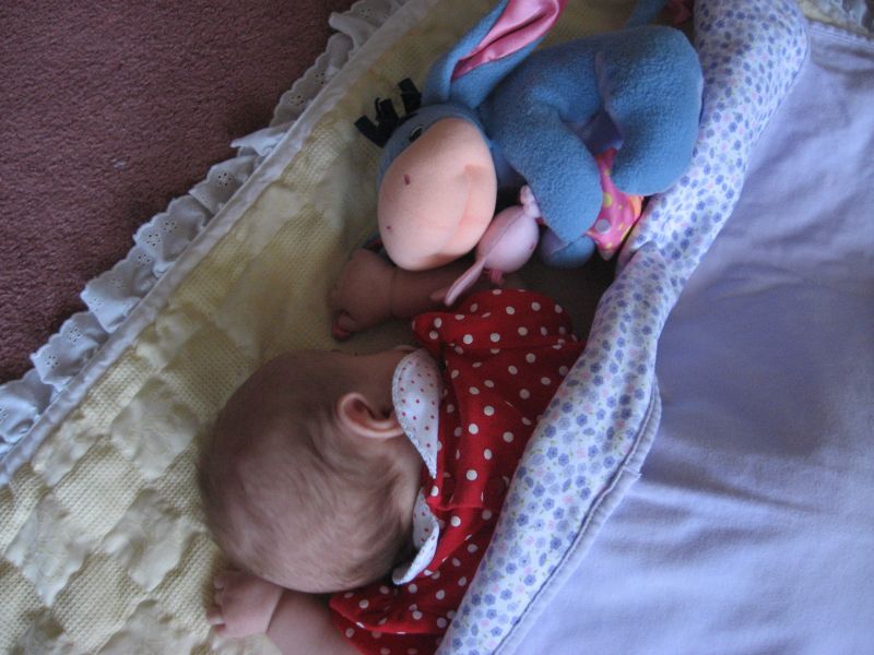 Click to view full size image