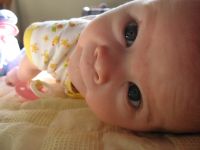 Filename=IMG_1724.JPG
Filesize=1037KB
Dimensions=2816x2112
Date added=Jun 14, 2007 IMG_1724.JPG