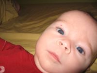 Filename=IMG_2551.JPG
Filesize=1014KB
Dimensions=2816x2112
Date added=Sep 02, 2007 IMG_2551.JPG