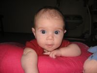 Filename=IMG_2566.JPG
Filesize=1195KB
Dimensions=2816x2112
Date added=Sep 02, 2007 IMG_2566.JPG