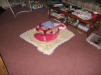 Filename=IMG_2571.JPG
Filesize=1726KB
Dimensions=2816x2112
Date added=Sep 02, 2007 IMG_2571.JPG