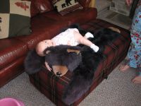 Filename=IMG_4852.JPG
Filesize=1570KB
Dimensions=2592x1944
Date added=Nov 18, 2007 IMG_4852.JPG