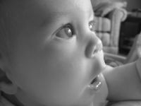 Filename=IMG_3852.JPG
Filesize=895KB
Dimensions=2816x2112
Date added=Nov 23, 2007 IMG_3852.JPG