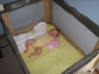 Filename=IMG_5113.JPG
Filesize=1620KB
Dimensions=2592x1944
Date added=Dec 02, 2007 IMG_5113.JPG