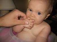 Filename=IMG_5194.JPG
Filesize=1091KB
Dimensions=2816x2112
Date added=Dec 29, 2007 IMG_5194.JPG