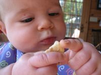 Filename=IMG_5795.JPG
Filesize=954KB
Dimensions=2592x1944
Date added=Jan 27, 2008 IMG_5795.JPG