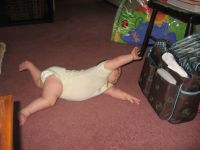 Filename=IMG_5862.JPG
Filesize=1644KB
Dimensions=2816x2112
Date added=Jan 27, 2008 IMG_5862.JPG