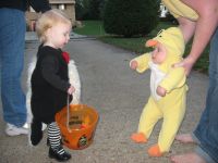 Filename=Img_6465.jpg
Filesize=1477KB
Dimensions=2816x2112
Date added=Mar 08, 2008 Img_6465.jpg