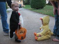 Filename=Img_6466.jpg
Filesize=1599KB
Dimensions=2816x2112
Date added=Mar 08, 2008 Img_6466.jpg