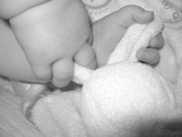 Filename=Img_6497.jpg
Filesize=869KB
Dimensions=2816x2112
Date added=Mar 09, 2008 Img_6497.jpg