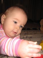 Filename=Img_6743.jpg
Filesize=1225KB
Dimensions=2112x2816
Date added=Mar 09, 2008 Img_6743.jpg