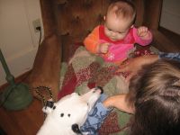 Filename=Img_6764.jpg
Filesize=1657KB
Dimensions=2816x2112
Date added=Mar 09, 2008 Img_6764.jpg