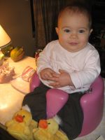 Filename=Img_6784.jpg
Filesize=1418KB
Dimensions=2112x2816
Date added=Mar 09, 2008 Img_6784.jpg