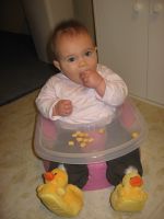 Filename=Img_6789.jpg
Filesize=1457KB
Dimensions=2112x2816
Date added=Mar 09, 2008 Img_6789.jpg