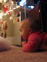 Filename=IMG_6405.JPG
Filesize=1687KB
Dimensions=1944x2592
Date added=Mar 23, 2008 IMG_6405.JPG