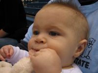 Filename=IMG_6460.JPG
Filesize=992KB
Dimensions=2592x1944
Date added=Mar 23, 2008 IMG_6460.JPG