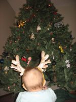 Filename=Img_7028.jpg
Filesize=1887KB
Dimensions=2112x2816
Date added=Mar 23, 2008 Img_7028.jpg