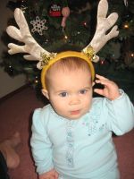 Filename=Img_7031.jpg
Filesize=1704KB
Dimensions=2112x2816
Date added=Mar 23, 2008 Img_7031.jpg