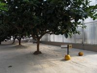 Filename=IMG_0479.JPG
Filesize=2914KB
Dimensions=4000x3000
Date added=Apr 08, 2012 IMG_0479.JPG